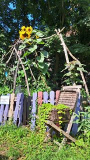 🌿🐝 Der Nachbarschaftsgarten brummt und summt! 🐝🌸

Unser Garten steht in voller Blüte – und überall summt, zwitschert und krabbelt es. 🌼🐞🐦
Gemeinsam pflegen und gestalten wir unsere kleine grüne Nachbarschaftsinsel.

Du hast Lust auf Natur, Gemeinschaft und einen schönen Garten? Komm gerne vorbei und genieße unseren Garten. 

#Nachbarschaftsgarten #Weißensee #Pankow #Kiez #UrbanGardening Gemeinschaftsgarten Gärtnern Mitmachen Nachbarschaft Berlin NaturInDerStadt GrünerKiez Bienenfreundlich Kiezliebe